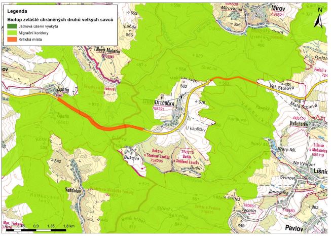 Biotop zvláště chráněných druhů velkých savců, AOPK ČR) v okolí Studené Loučky (in Hykel, Budka, 2024)