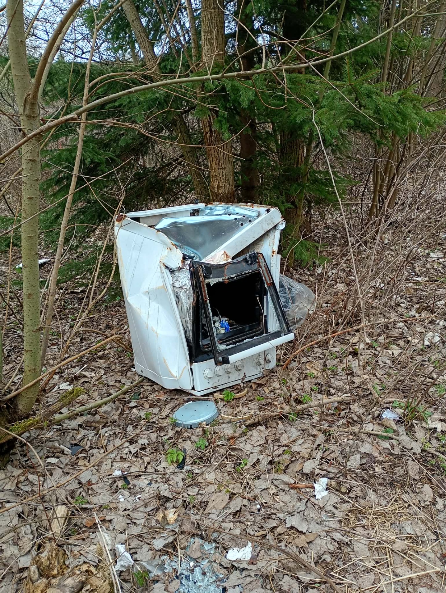 Kulinářské zátiší v podání neznámého umělce. Sporák v lese – důkaz, že pro některé je příroda jen odloženou kuchyní.